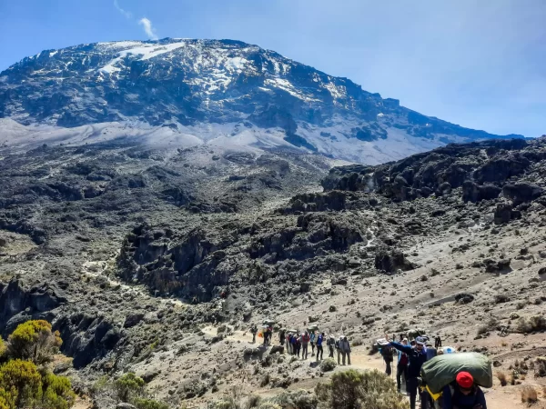 8 Days Kilimanjaro Trekking Lemosho Route