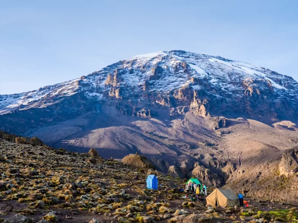 7 Days Kilimanjaro Trekking Lemosho Route