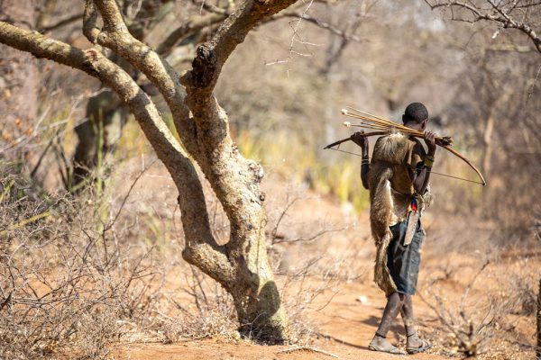 8 Days Tanzania Safari + Cultural Experience