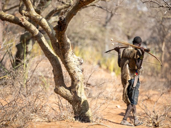 8 Days Tanzania Safari + Cultural Experience